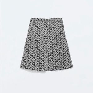Zara A-Line Skirt